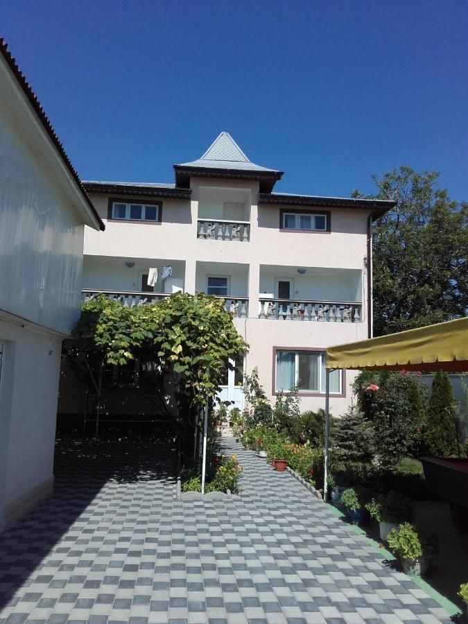 Гостевой дом Vila Andra Костинешти-19